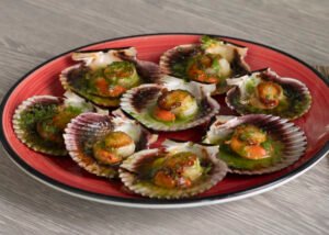 VIEIRAS DEL PACIFICO